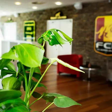 Fc Nordsjaelland Hotel